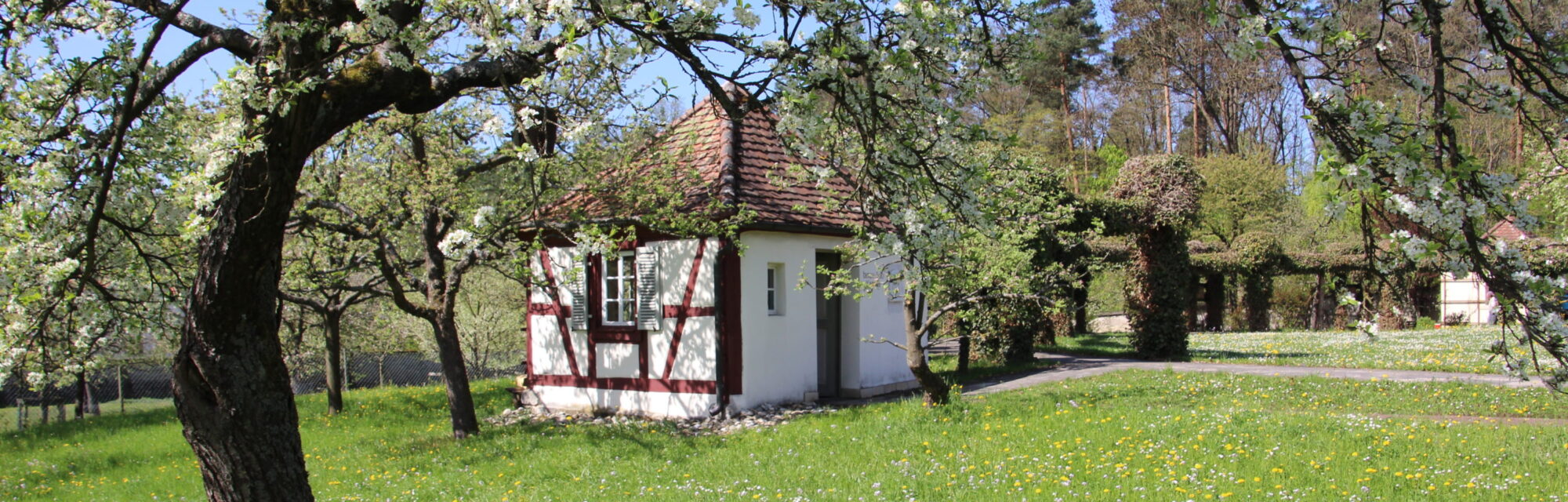 Garten im Kloster Schwarzenberg