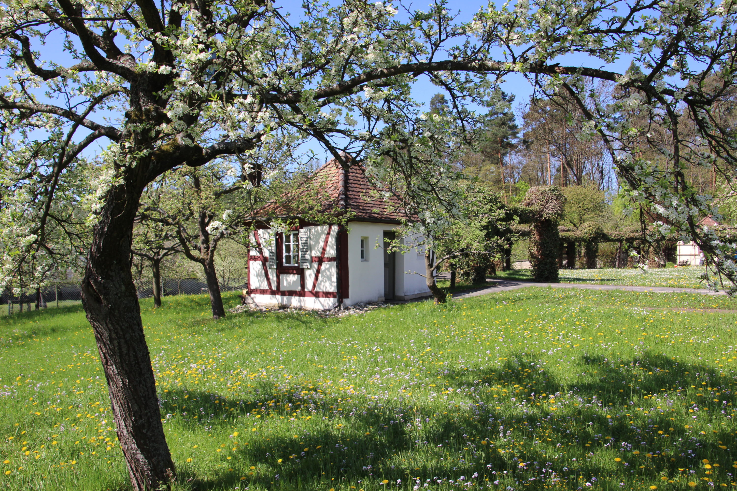 Ansprechpersonen Kloster Schwarzenberg